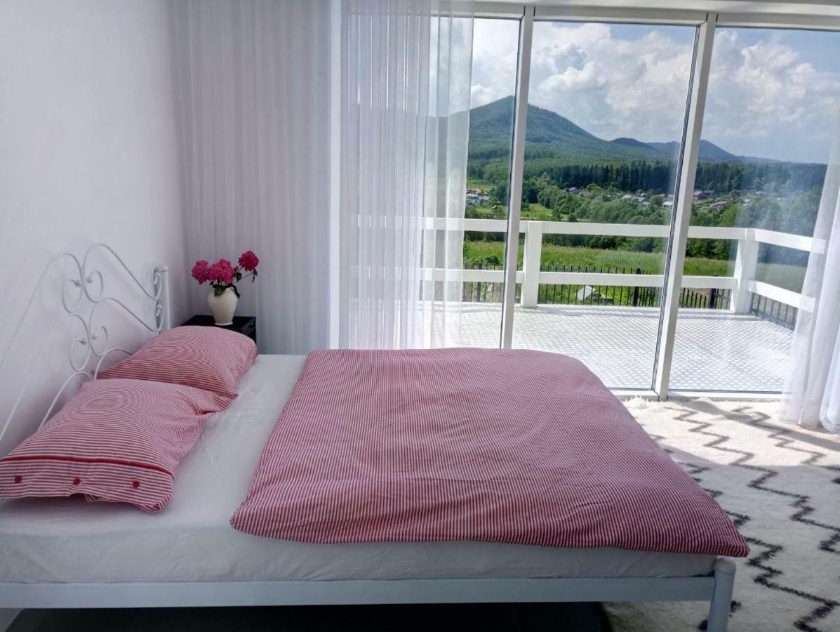 Cosy House Villa Berehomet Ngoại thất bức ảnh